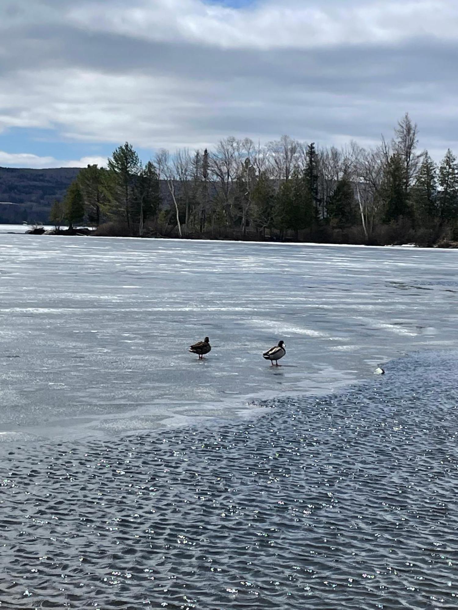 Town & * Rangeley